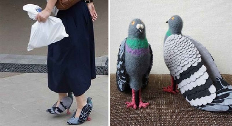 Japanese Woman Goes Viral For Her Fantastic Pigeon Shoes