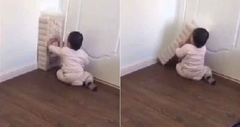 Toddler Fighting a Pack of Toilet Paper Rolls is Basically Us Versus Life