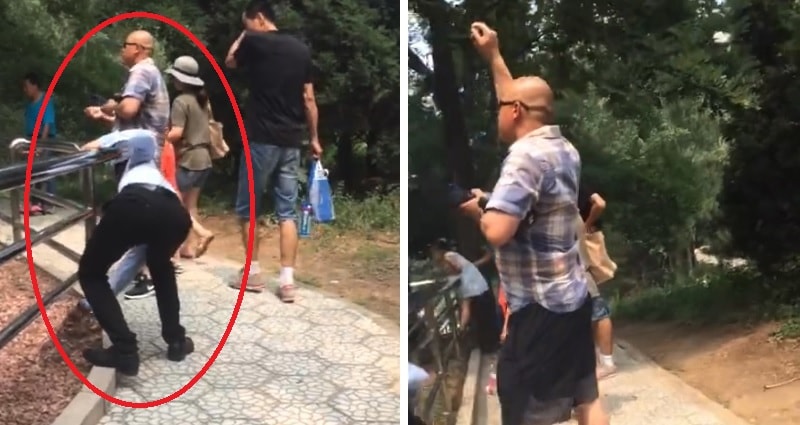 Zoo Visitors in Beijing Caught on Video Throwing Rocks at a Tiger to ‘Make It Move’