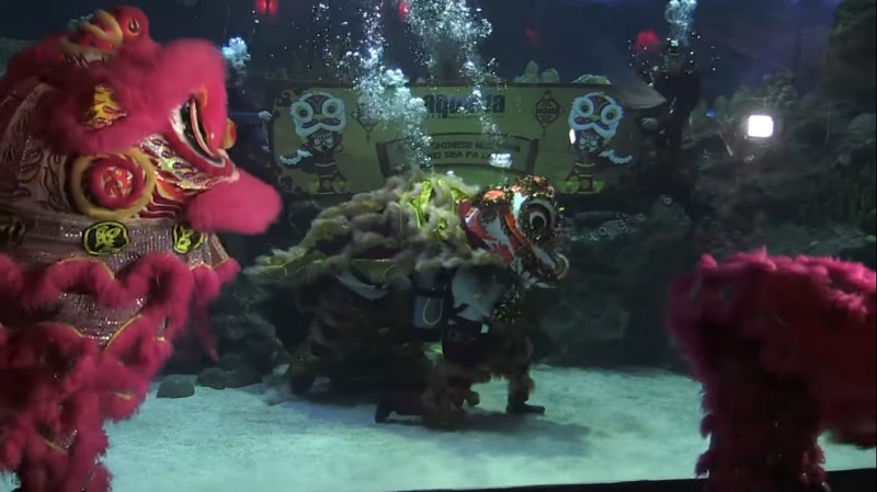 A Malaysian aquarium has added a new twist to the traditional lion dance by performing underwater as fish, turtles, and sharks swim around them.