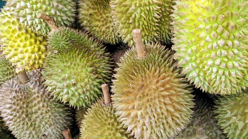 China’s increasing demand for durian is threatening to cause massive deforestation in Malaysia, local environmentalists warn.