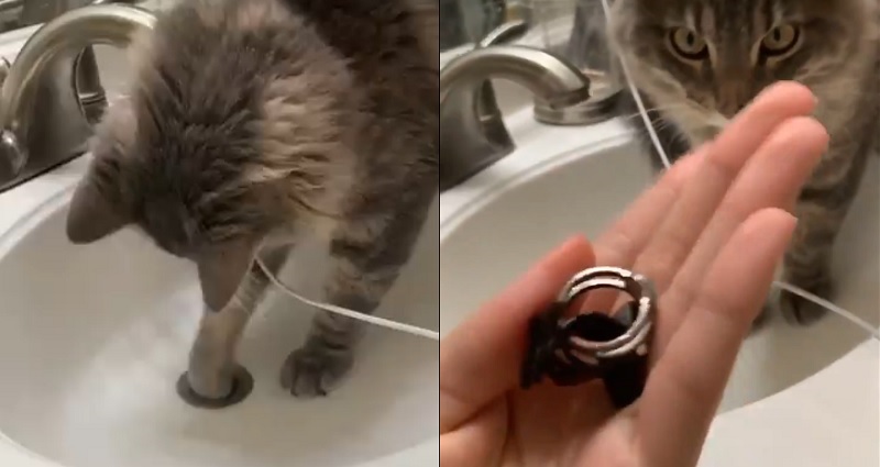 my ring fell down the bathroom sink