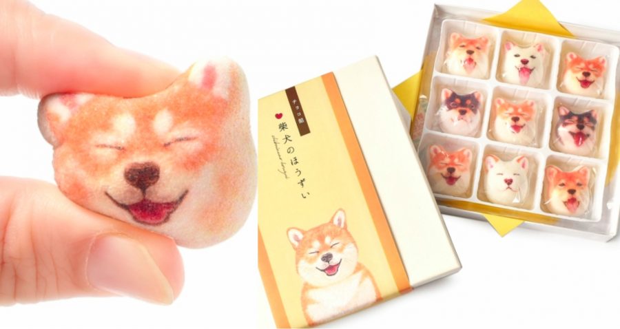 Shiba Inu Marshmallows are a Thing in Japan and Can Be Yours For $12
