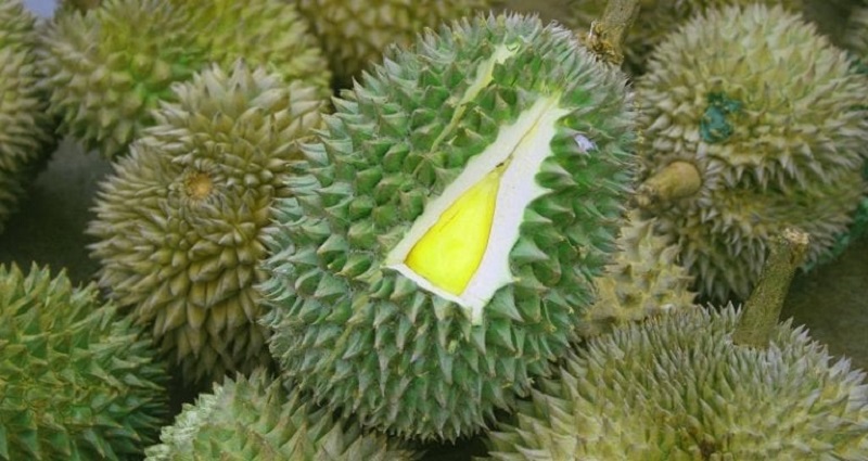 Library Evacuated After People Mistake Durian Smell For Leaking Gas
