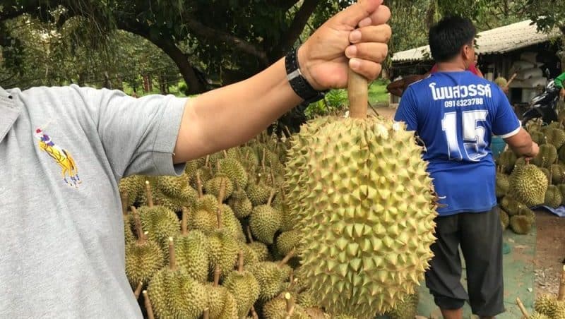 Thai Man Dies After Deadly Combination of Durian and Alcohol