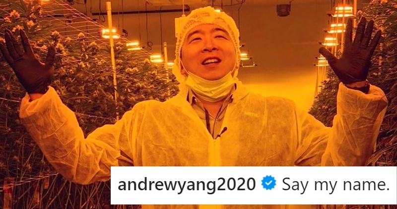 Andrew Yang Went to a Marijuana Facility and Took the Best Picture