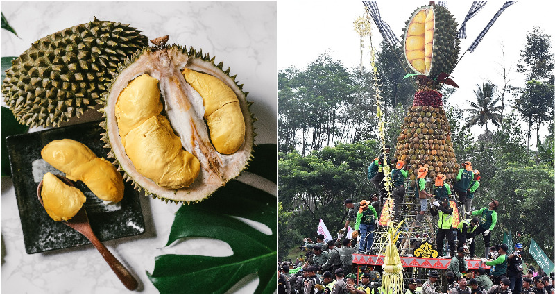 Black Thorn Durian Dethrones Billionaire’s Favored ‘King’ Durian