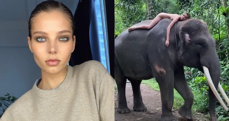 Instagram Influencer Sparks Outrage After Posing Naked on Top of Endangered Elephant in Bali