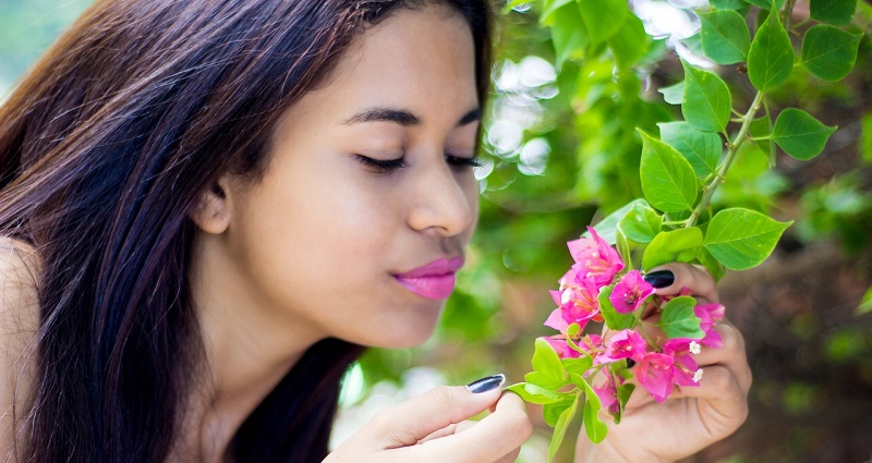 People of different cultures around the world like, dislike the same smells, says new study