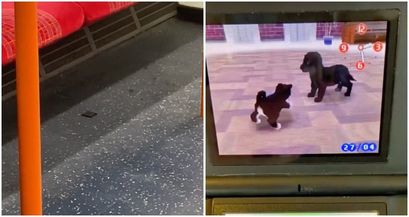 TikToker rescues ‘abandoned’ Nintendogs after finding game cartridge on London train
