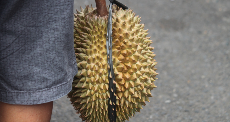 Woman suffers bloody face after getting smacked with a durian by a debt collector in Thailand