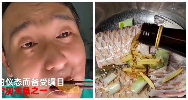 man eats pet fish