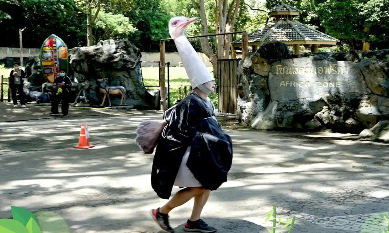 Thai zoo staff chases after man dressed up as an ostrich in training exercise