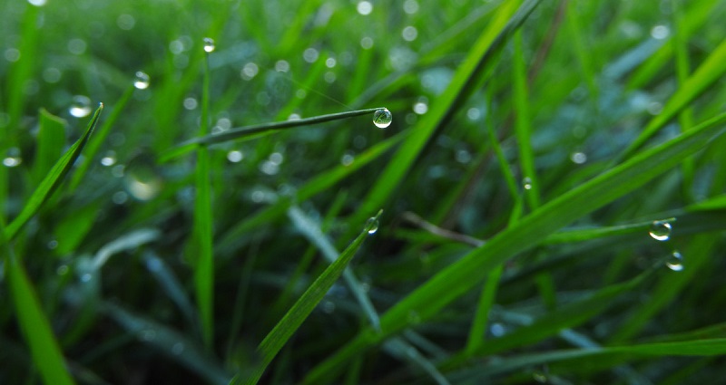The ultimate clean energy? Scientists create green hydrogen fuel from air