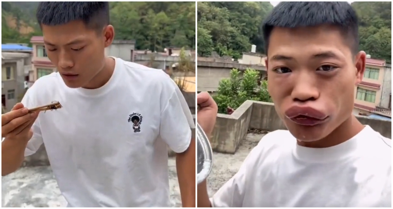 Chinese influencer banned from Douyin for eating a live wasp