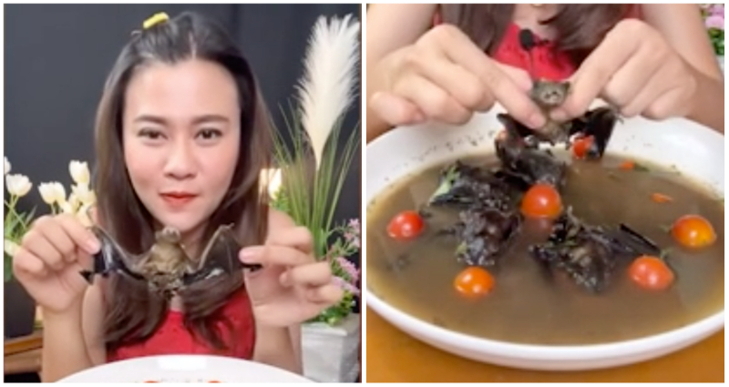 Thai Woman Faces Up To 5 Years In Prison For Eating Bat Soup In Viral Video 3685