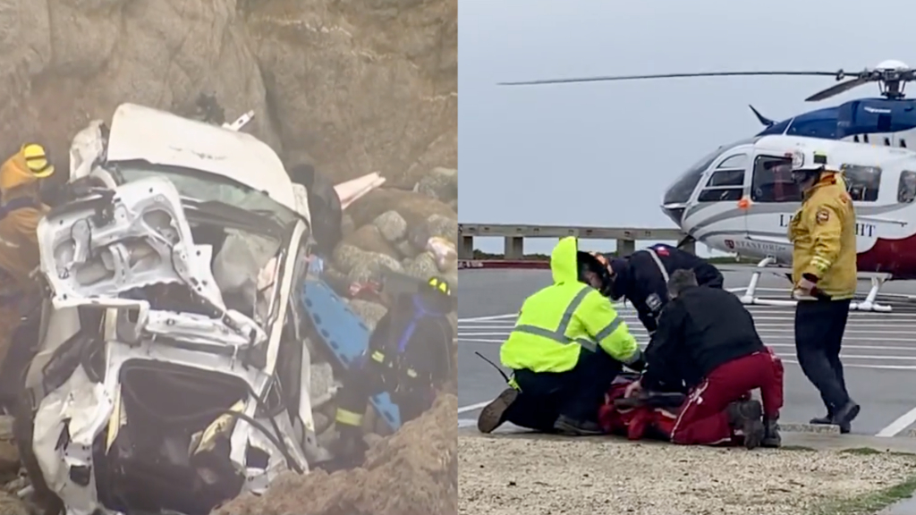 California doctor accused of intentionally driving Tesla off cliff with family on board