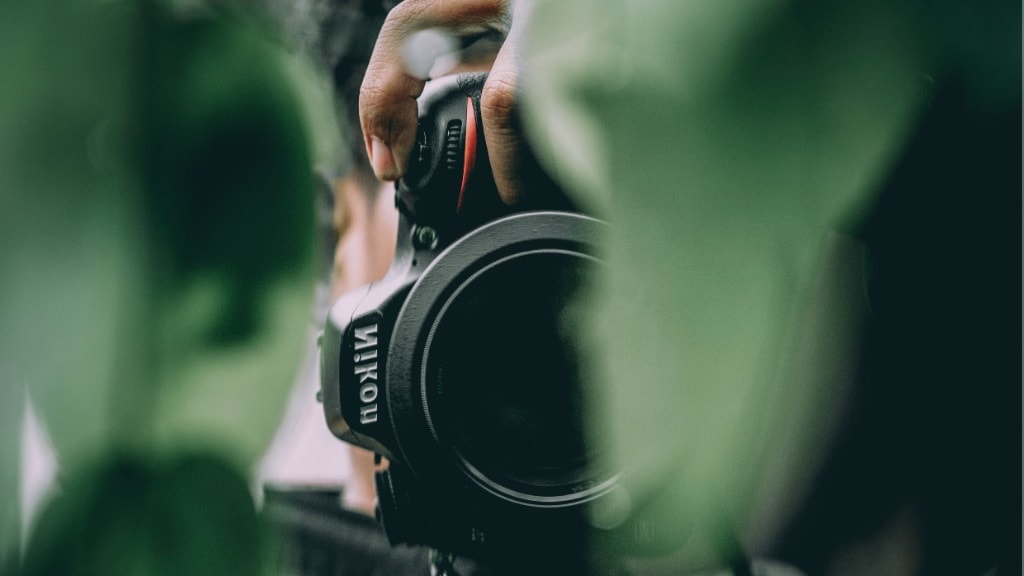 Nikon camera peeking from behind leaves