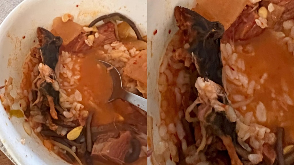 NYC Koreatown restaurant shut down after couple reports they found dead rat in soup