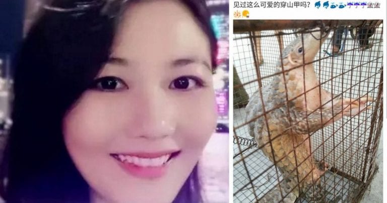 China Arrests ‘Pangolin Princess’ Who Loves Eating Endangered Animals