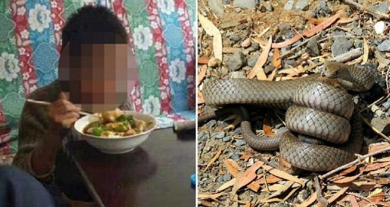 Chinese Boy Survives The Wild By Eating Snakes and Herbs For a Month