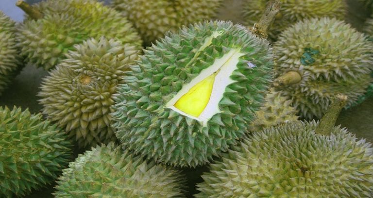 Why Durian Prices are Skyrocketing Throughout Asia