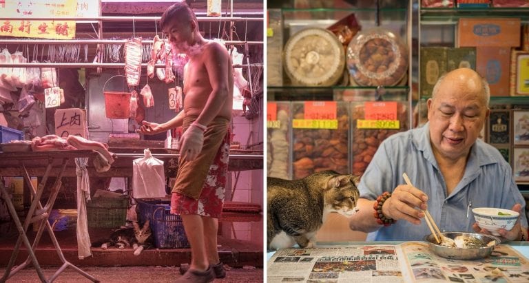 Dutch Photographer Captures The Lives of Cats and Dogs Living in Hong Kong’s Street Markets