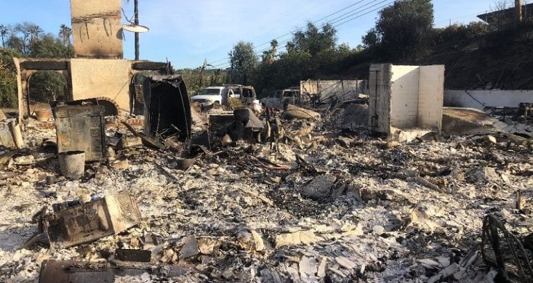 10,000 Exotic Birds Die After San Diego Fire Burns Taiwanese-American Family’s Aviary