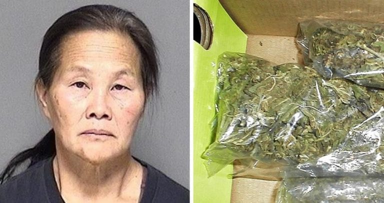 Wisconsin Woman Caught with 75 Pounds of Marijuana After Running a Stop Sign