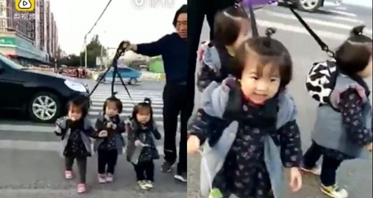 Chinese Grandpa Walks Adorable Triplets on Leashes