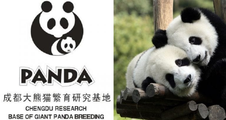 China Will Award $15,400 for the Best Giant Panda Logo For New Park