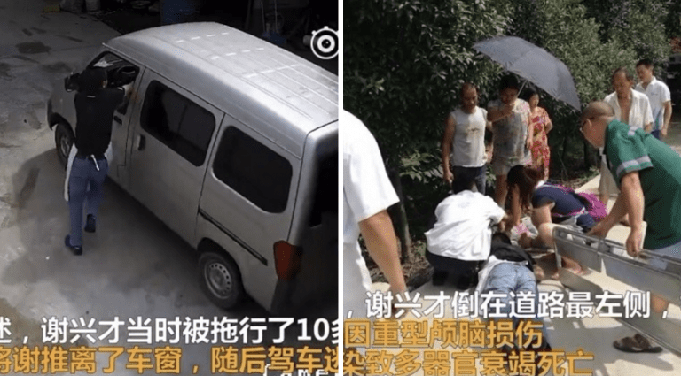 Brave Dog Owner Dies Trying to Save His Dog from Thieves in China