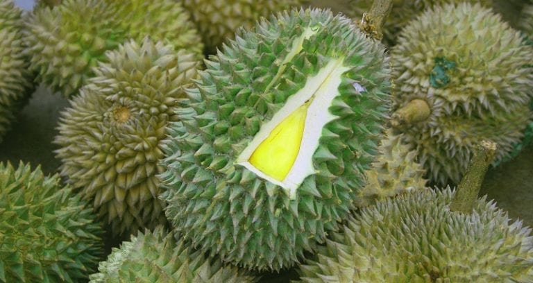 Hundreds Evacuate Melbourne Library Over ‘Gas Leak,’ Turns Out to Be Durian