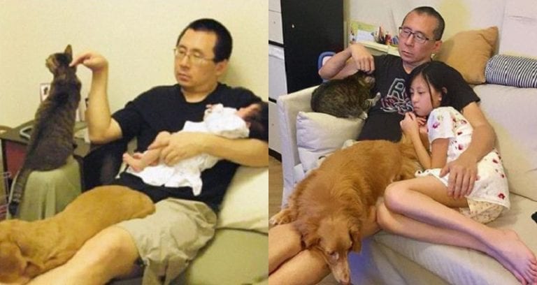 Hong Kong Dad Takes the Same Adorable Picture With Daughter, Cat, and Dog for 10 Years