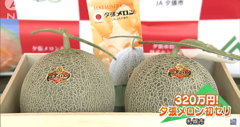 Japanese Businessman Buys a Pair Of Premium Melons For $30,000