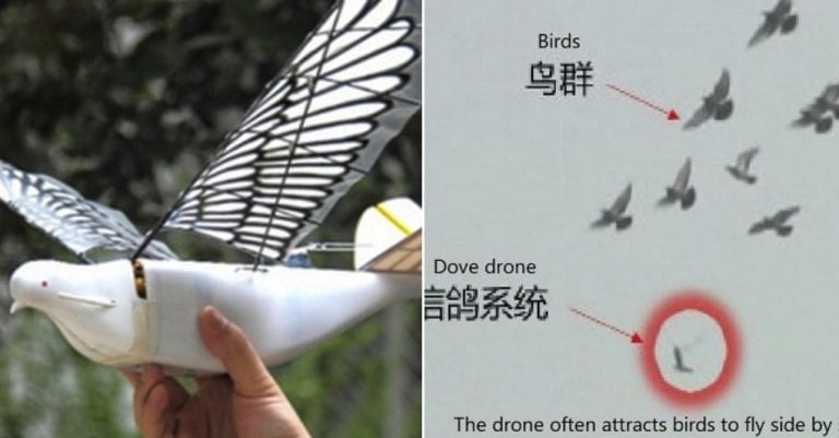 China Now Has Stealth Bird Drones to Spy on Its People