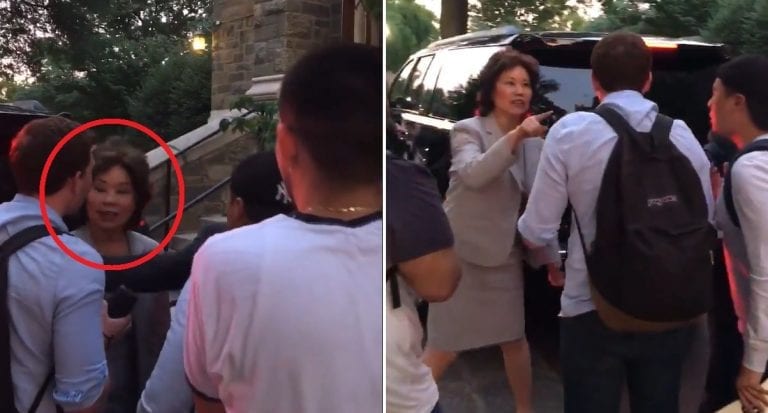 Elaine Chao Caught on Camera Yelling at Protesters to Leave Her Husband Alone