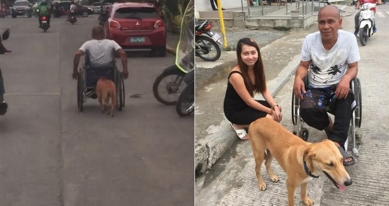 Incredibly Loyal Dog Helps Push Disabled Man in a Wheelchair