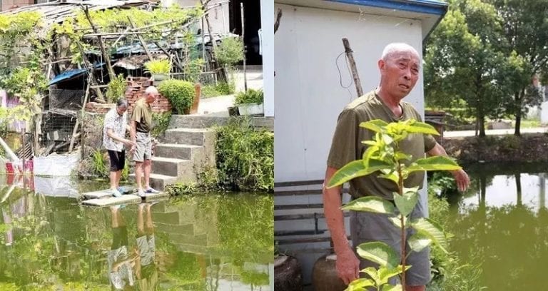 Elderly Man Saves Little Boy From Drowning, Realizes He Also Saved His Father 30 Years Ago
