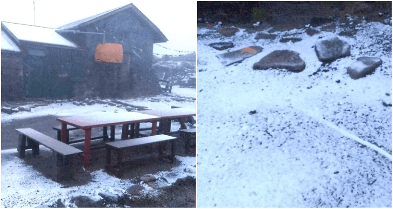 Japan Just Got Its First Snow During an INSANELY Hot Summer That Ki‌lle‌d People