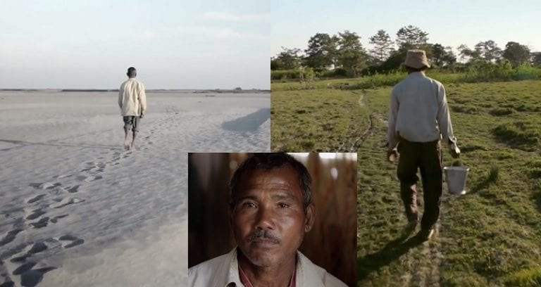 He Began Planting Seeds on a Barren Island 39 Years Ago, Now It’s a Forest Bigger Than Central Park