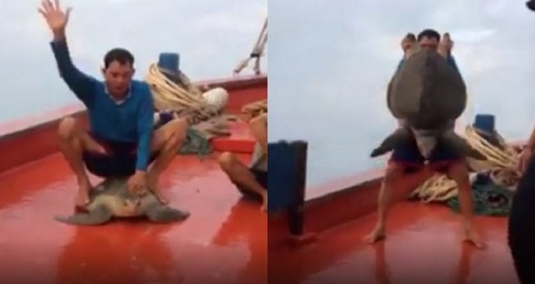 Fisherman Sparks Massive Outrage Online for Posting Video Abusing Helpless Sea Turtle