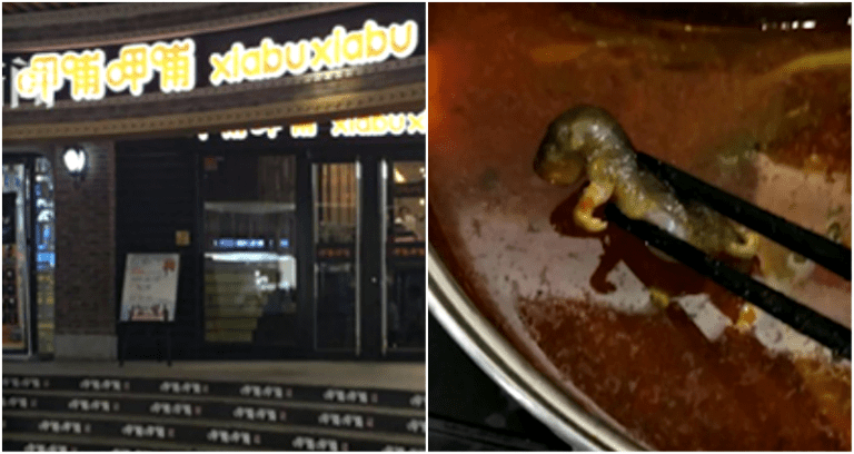 Restaurant Chain Loses $190 Million After Pregnant Woman Finds Dead Rat in Hot Pot