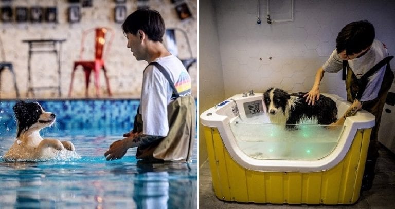 Chinese Man Builds $500,000 Mansion For His Dog Who Made Him Rich