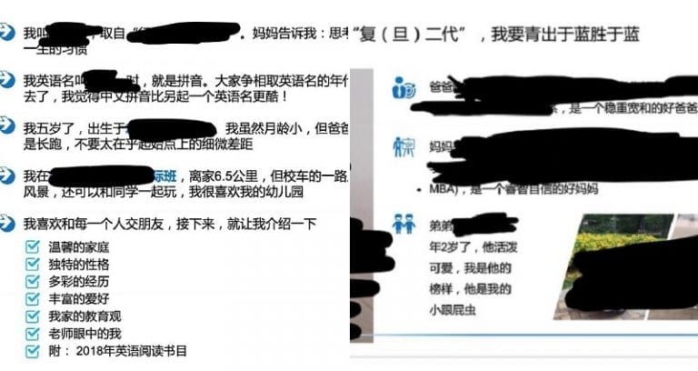 Chinese Kindergartener Stuns the Internet with 15-Page Résumé
