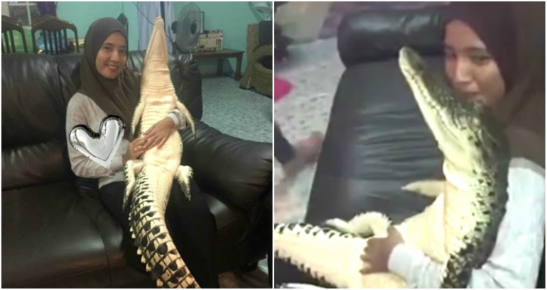 Malaysian Woman Cuddles With Wild Crocodile She Found in Her Backyard Like It’s NBD