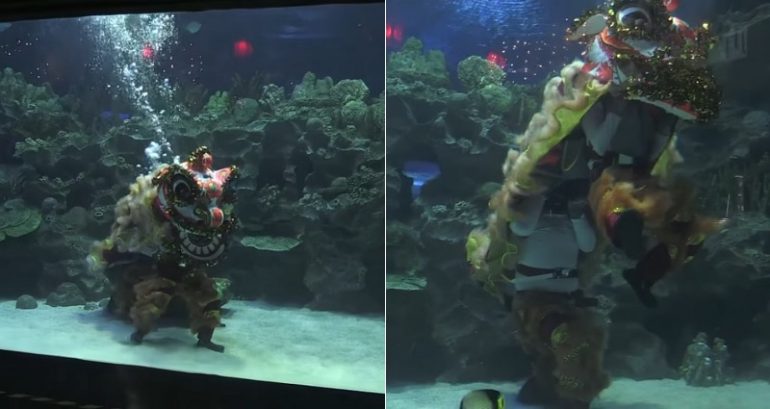 Malaysian Lion Dancers Pull Off Unique Underwater Dance for Chinese New Year