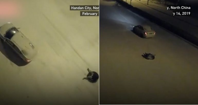 Police Looking for Dad Who Used a Car to Take Son Sledding on an Icy Road in China