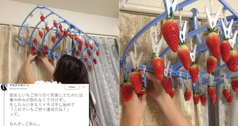 He Couldn’t Get Off Work to Pick Strawberries, So His Girlfriend Brought the Strawberry Field to Him