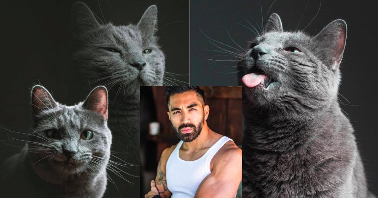 Woman Leaves Cat With Filipino American Actor, He Takes the Most Purrfect Portraits